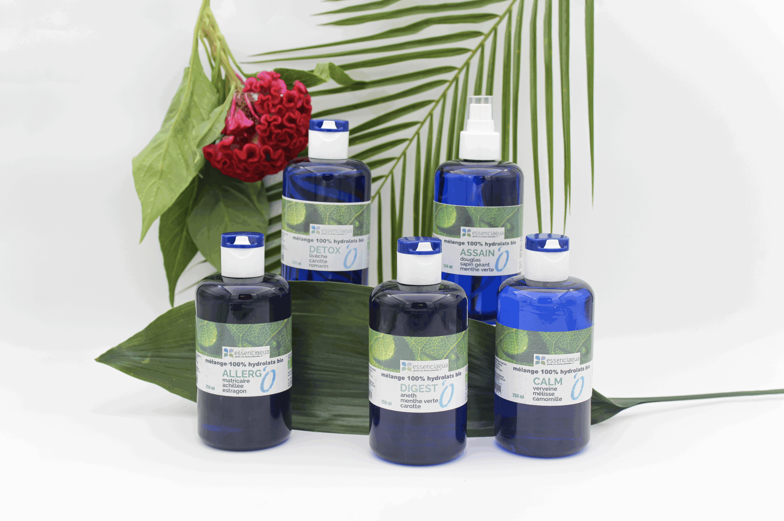 Hydrolats et mélanges